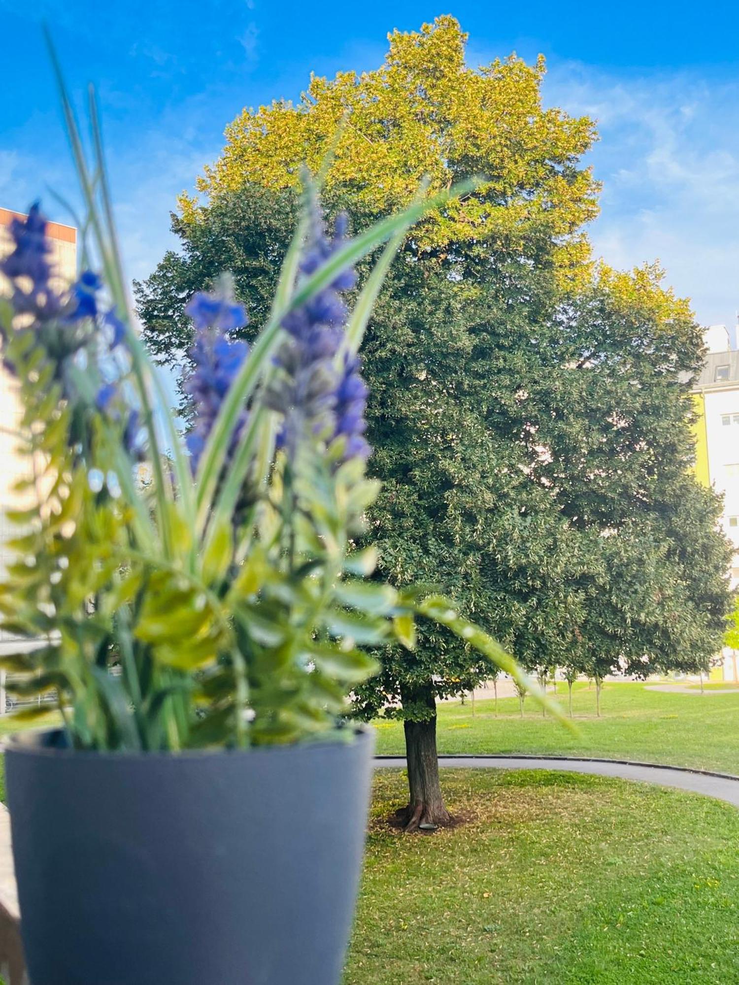 Lavender Home Appart Лінц Екстер'єр фото
